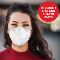 KN95 Face Masks - Pack of 10 - for Restaurants and Retail Stores - POS OF AMERICA